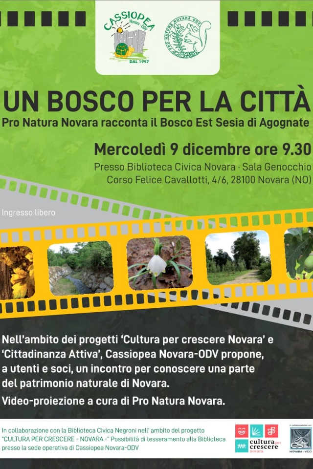 Un bosco per la città