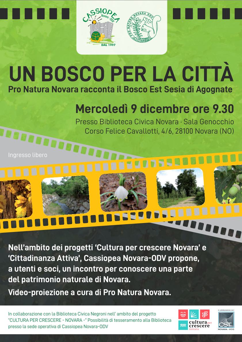 Un bosco per la città